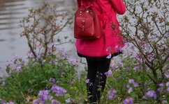 穆景天夏紫曦小说全文免费阅读